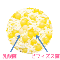 �r�t�B�[�iS�̓���